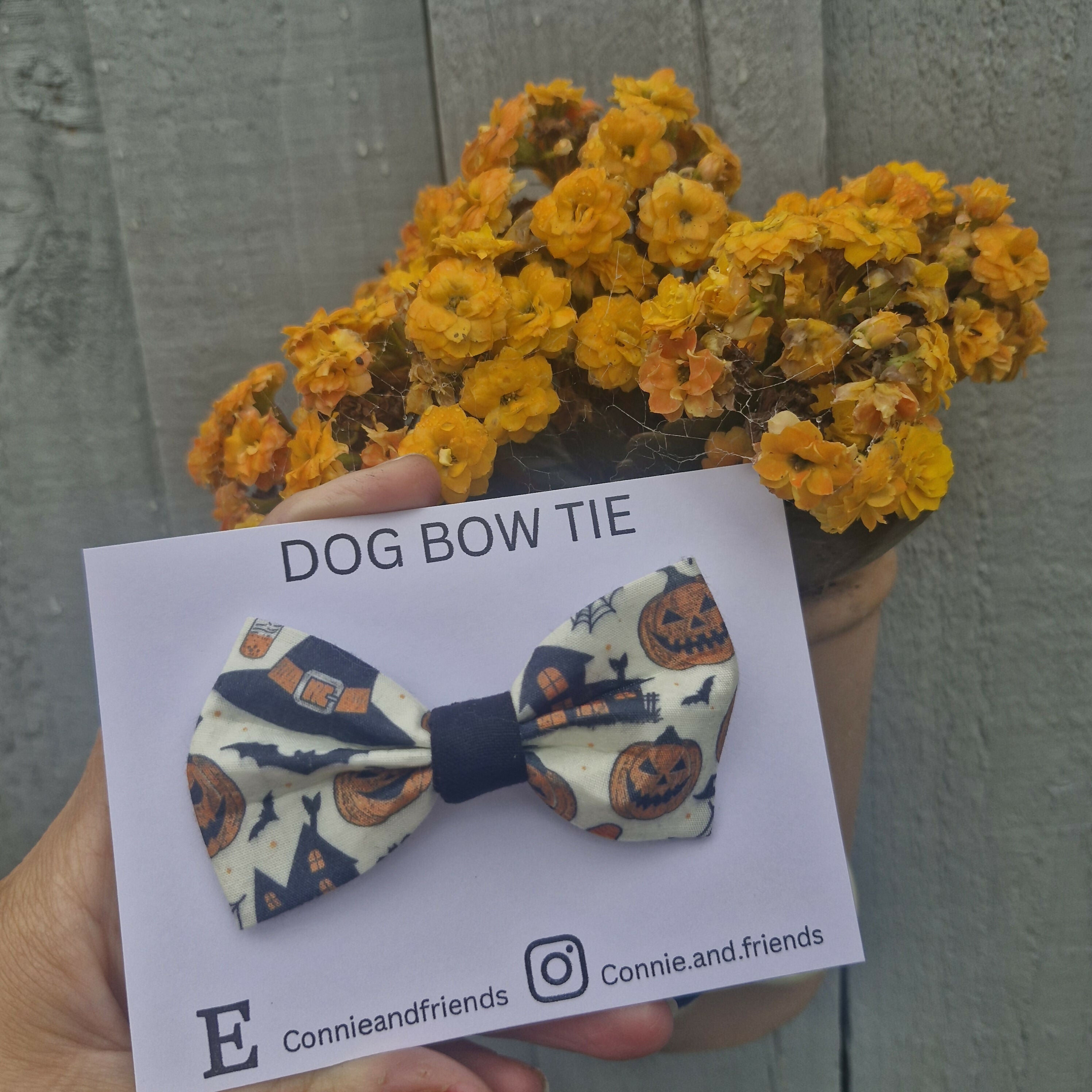 Halloween Dog Bow Tie.