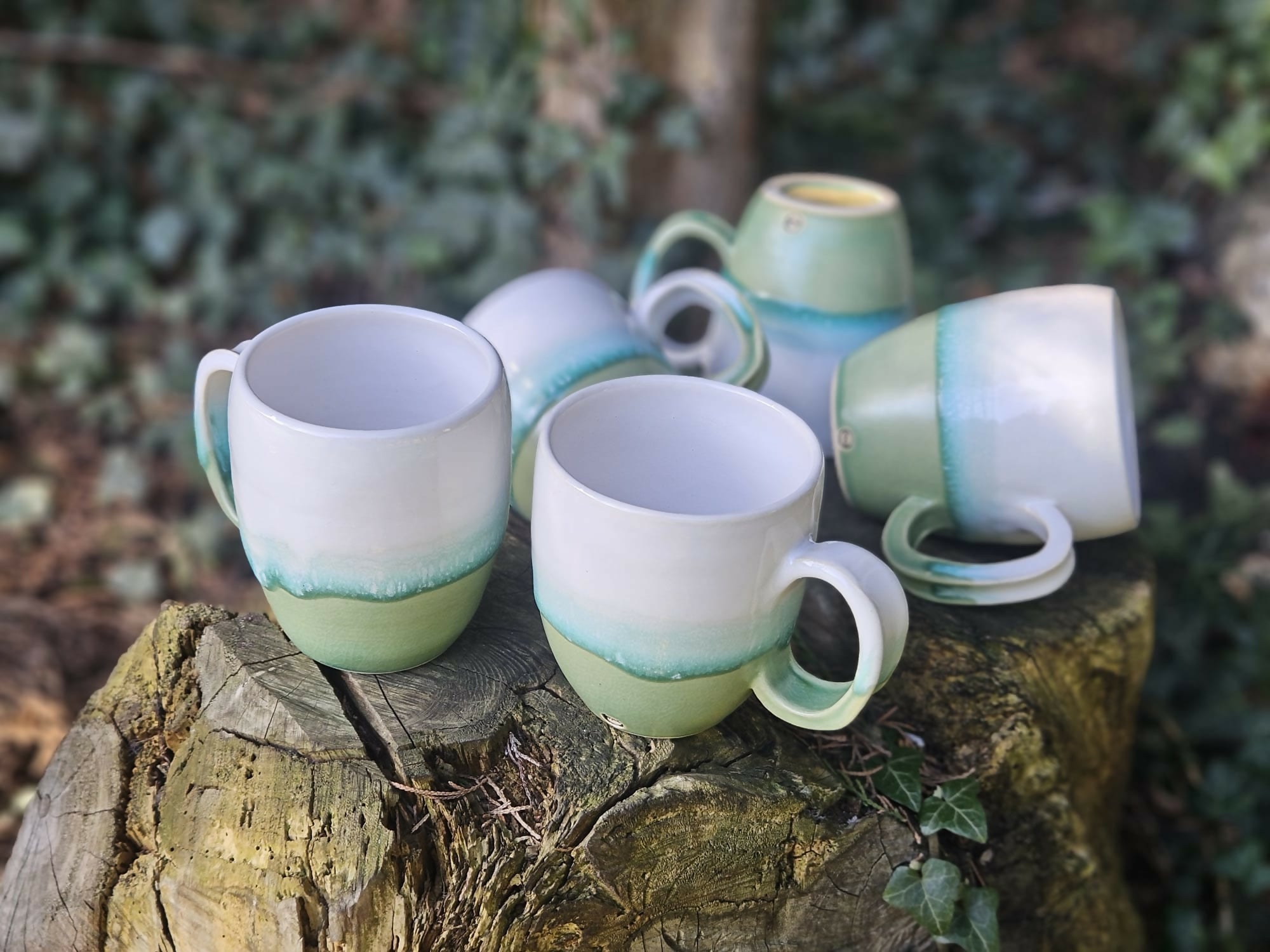 Landscape Two Tone Mug