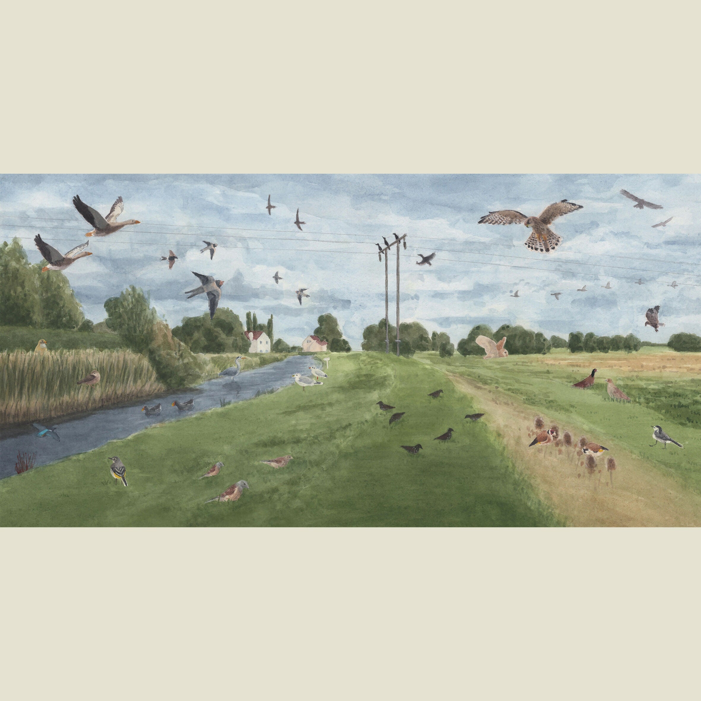 Birds of Beverley - 8" x 16" Print
