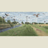 Birds of Beverley - 8" x 16"