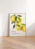 FRESHLY SQUEEZED LEMONS WALL ART PRINT