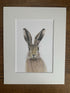 Hare 1