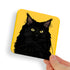 Black Ragdoll Yellow Eyes Cat Coaster