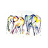 FINE ART PRINT OF ELEPHANT DUO