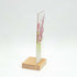 Vase of Flowers Med Plinth