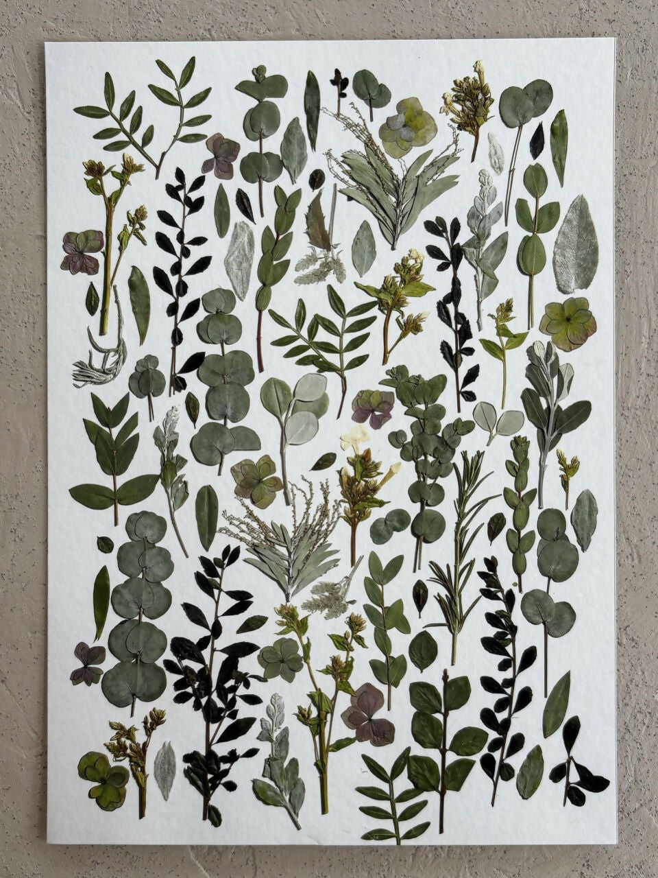 Green Leaves Giclee Print A5