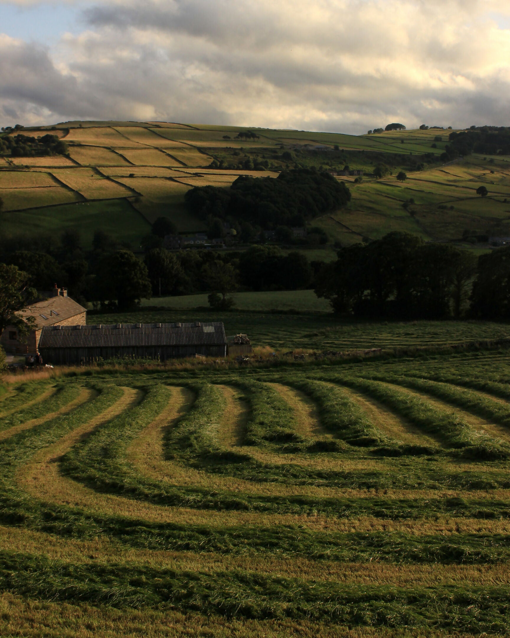 Peak District Hillside – 10x8 Print
