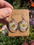 DAISY OVAL STAINLESS STEEL