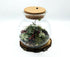 Round Light Up Terrarium