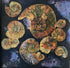 Ammonites - Original painting