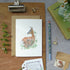 roe deer greetings card