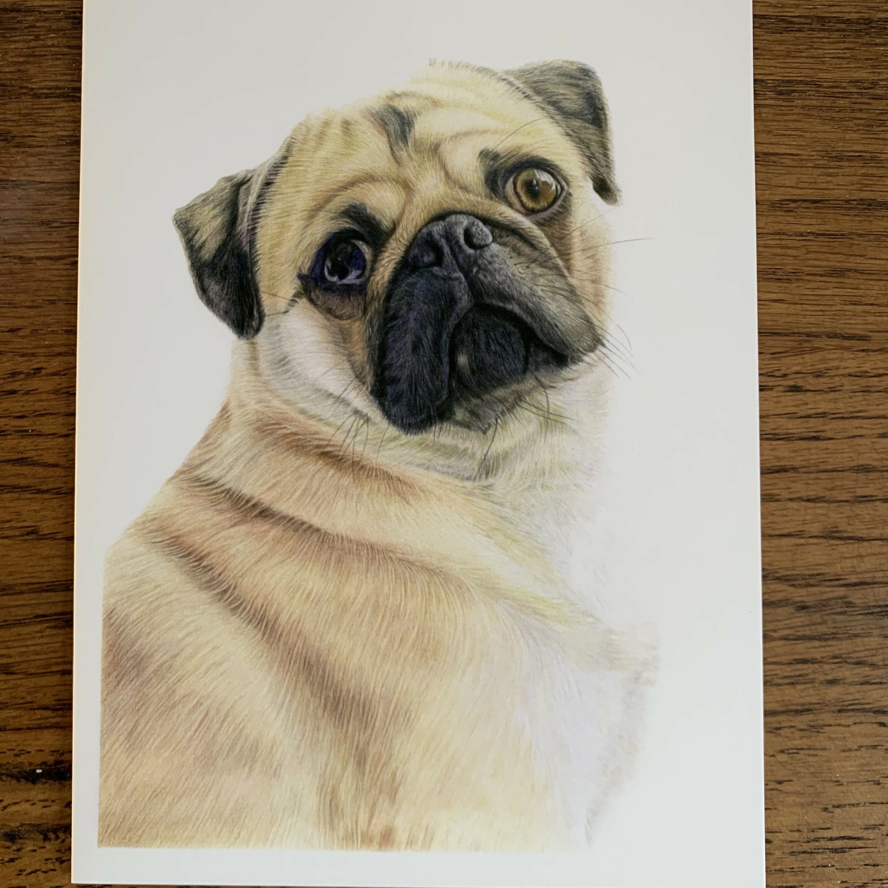 Greeting Card of a Pug 2. Blank Inside