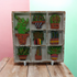 Cactus and Plant Filled Small Wooden White Painted Trinket Tray
