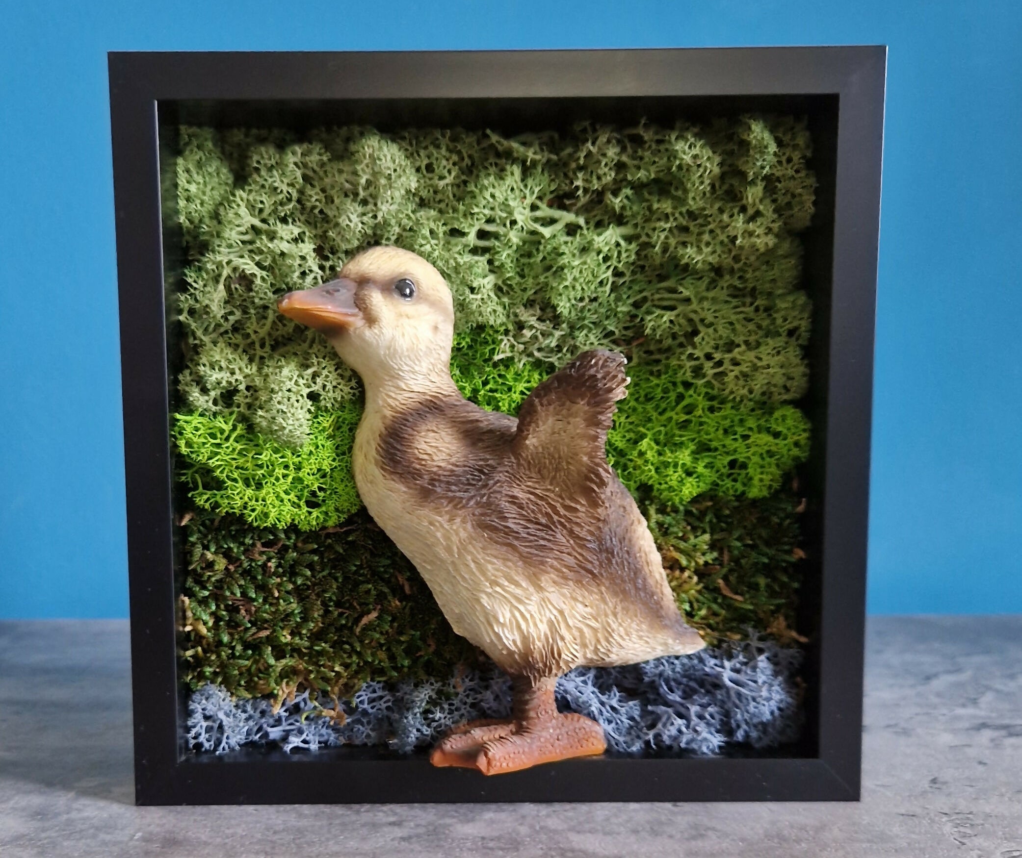 Young Duckling