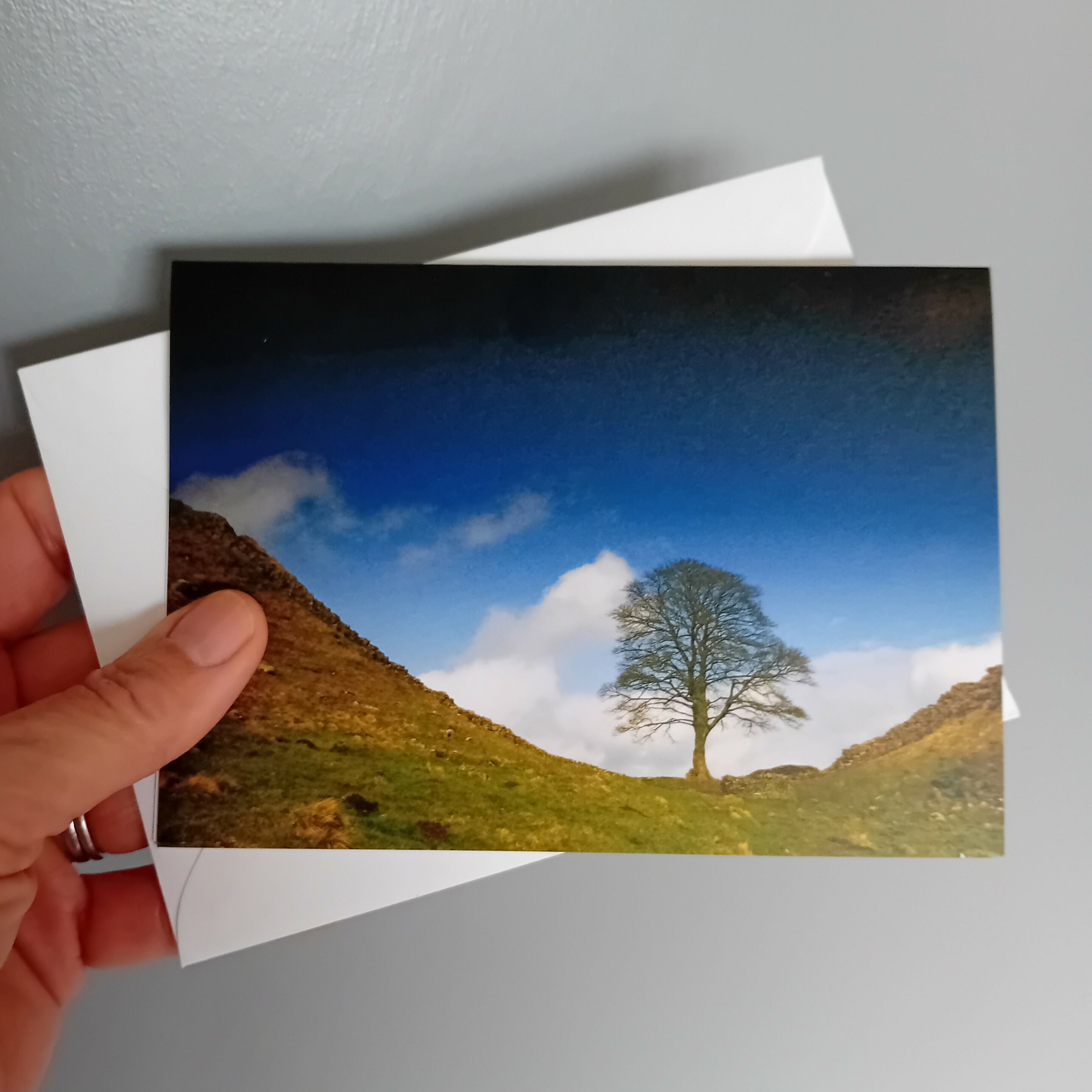 Sycamore Gap - Card