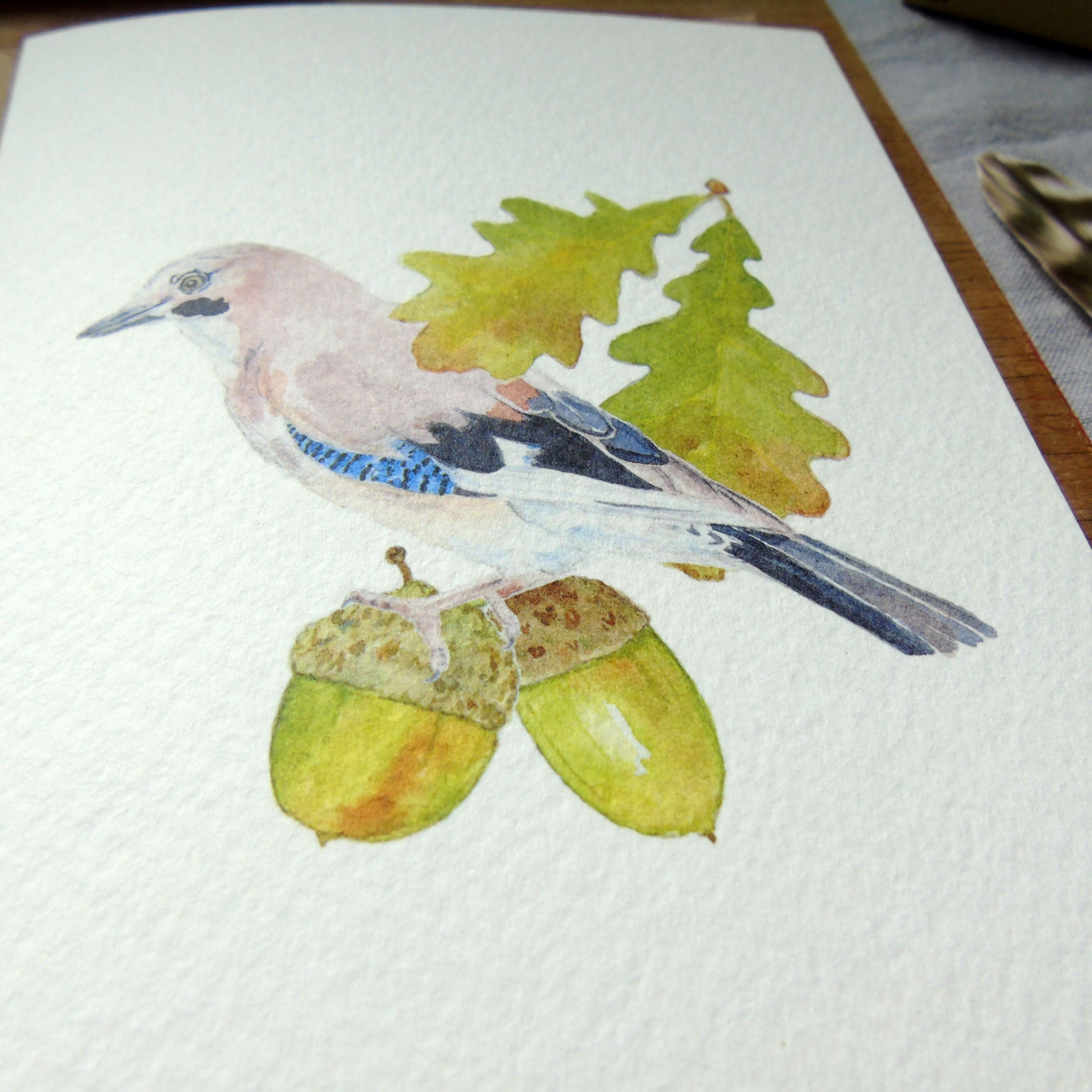 Jay and Acorn Greetings Card