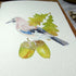 Jay and Acorn Greetings Card