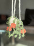 Crochet Hanging Basket