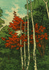 Autumn Tree Colours Greetings Card