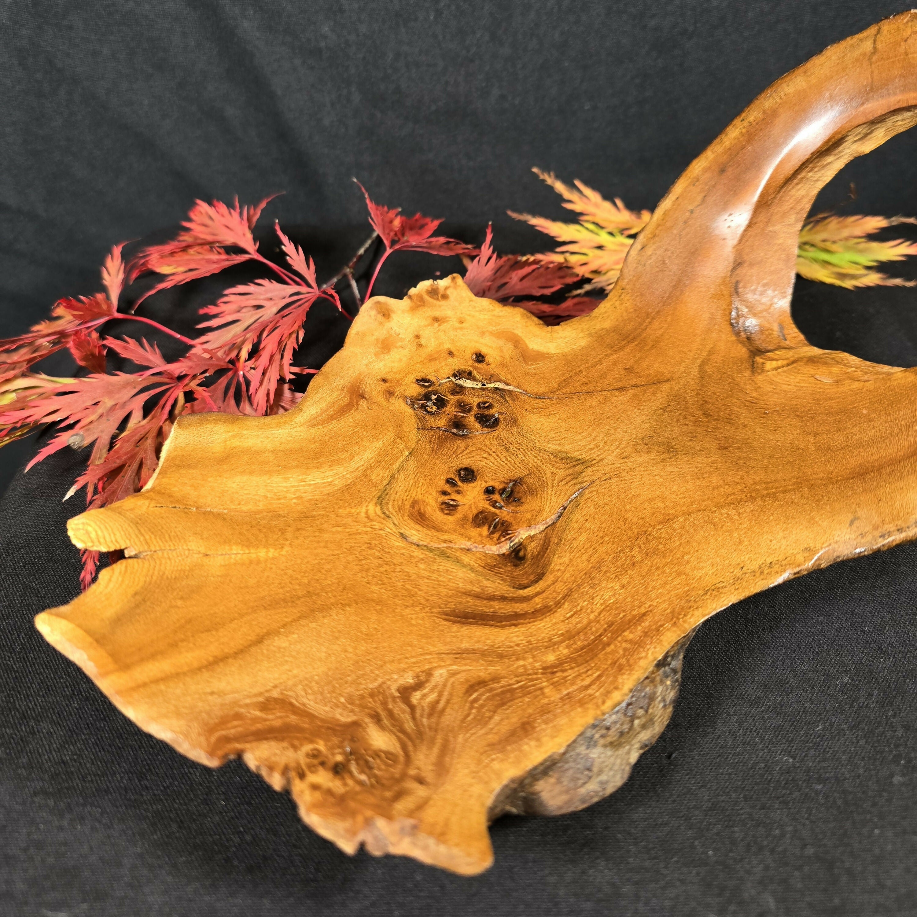 Hand Turned Elm Burr Wood Art