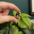 Handmade Polymer Clay Phone Charm Cat Paw - Black