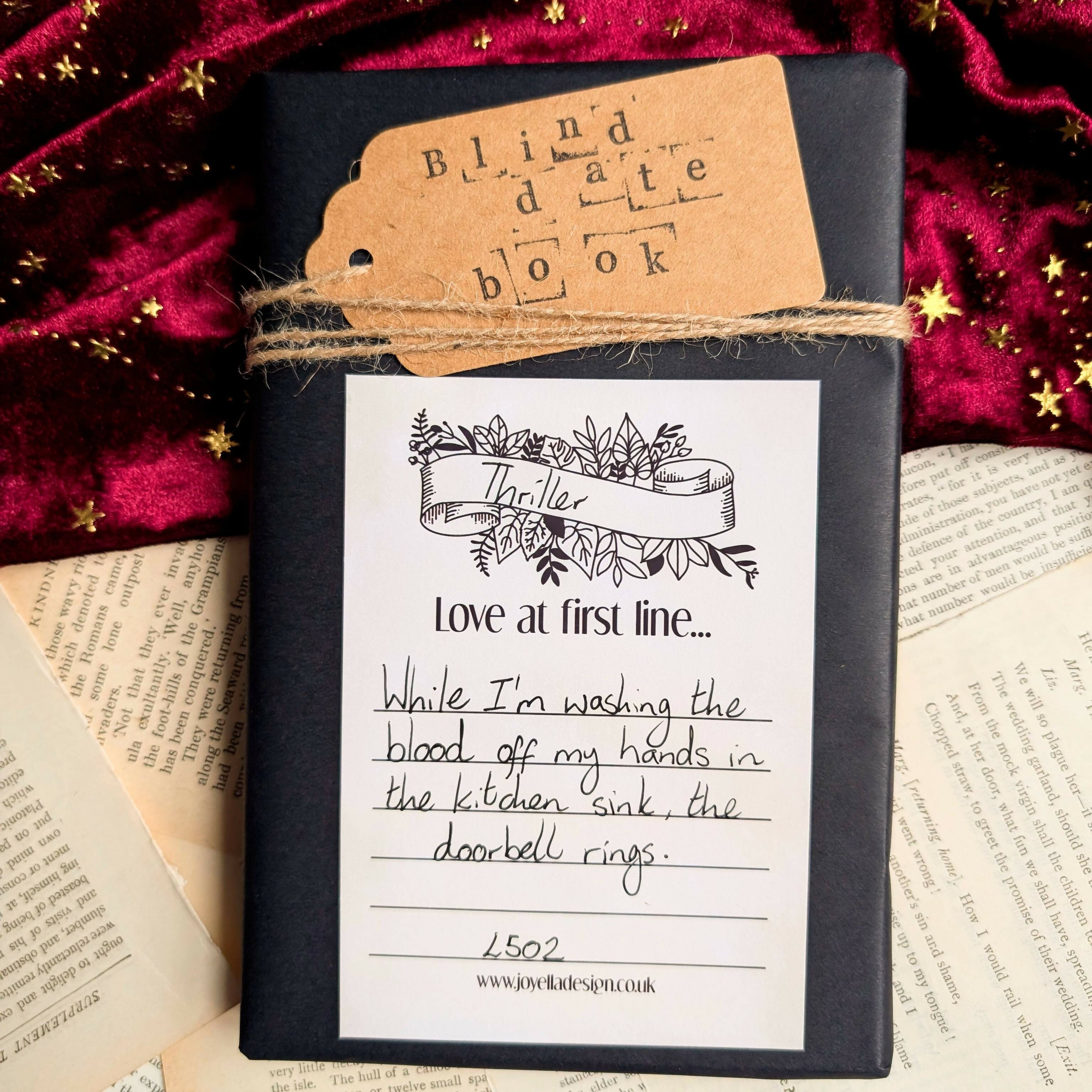 Blind date book Thriller (love at first line) L502