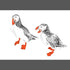 Pack of Puffin Prints - A4, A5, two A6
