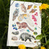 A5 RISO prints-Coastal Birds，Scottish Seabirds，Highland wildlife，Nocturnal wildlife