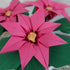 Handmade Origami Paper Poinsettia Plant in Ceramic Pot