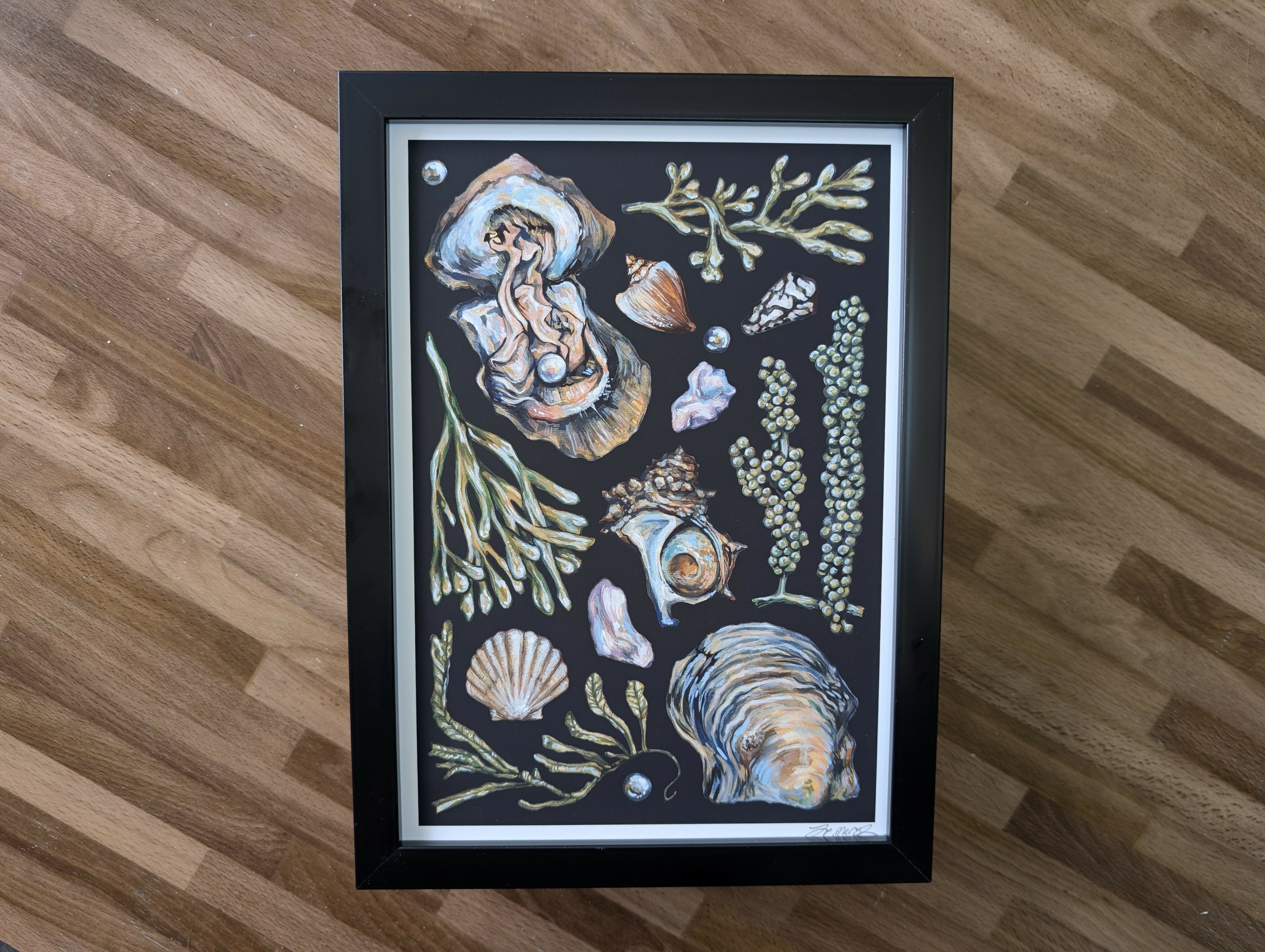 Akoya Oyster Pearl Seafood Illustration, A4 Print