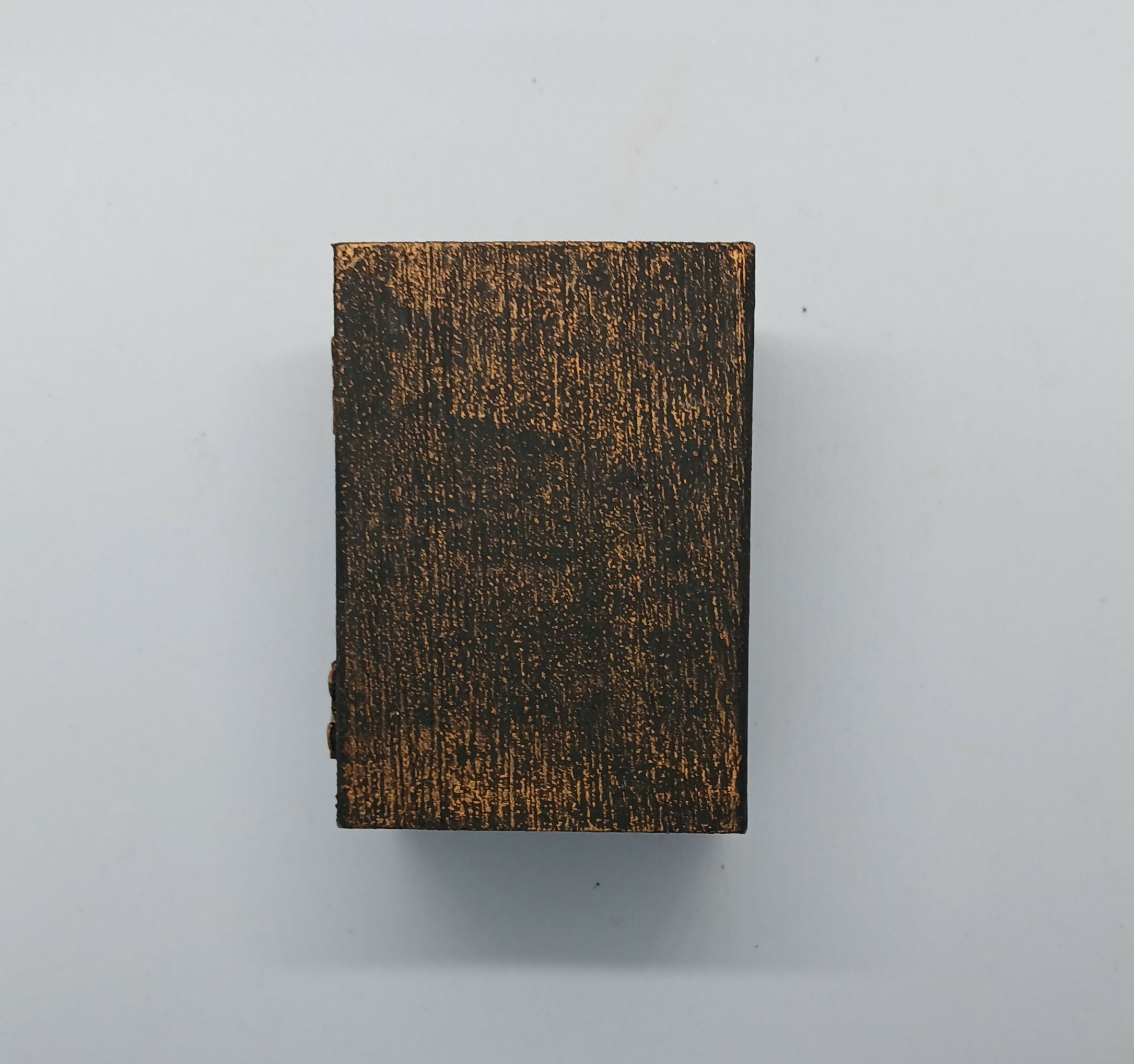 Clay Book and Plant Diorama in a Painted Box