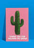 Teacher Thank You Cards