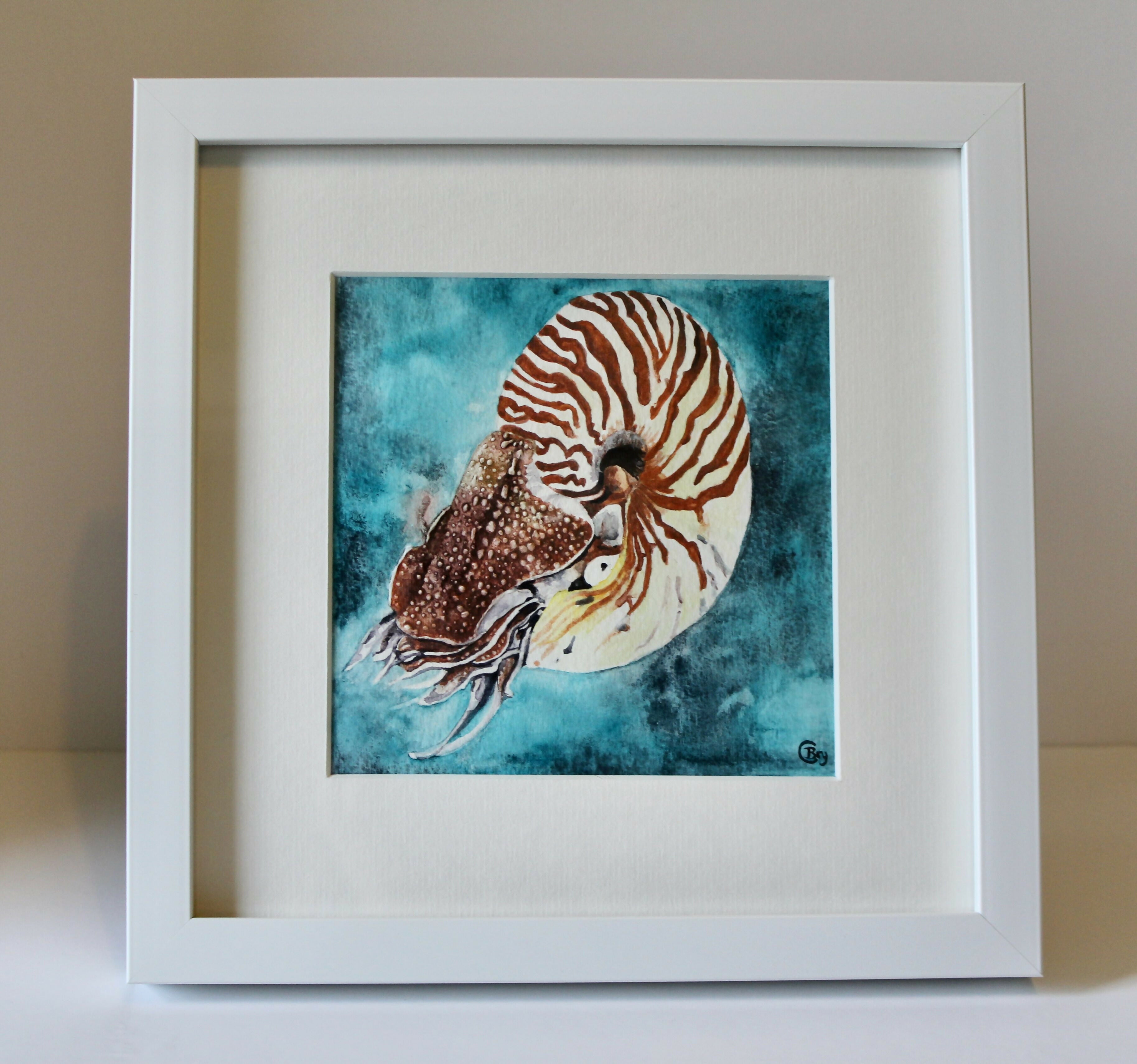 Nautilus - Original Watercolour Painting