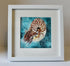 Nautilus - Original Watercolour Painting