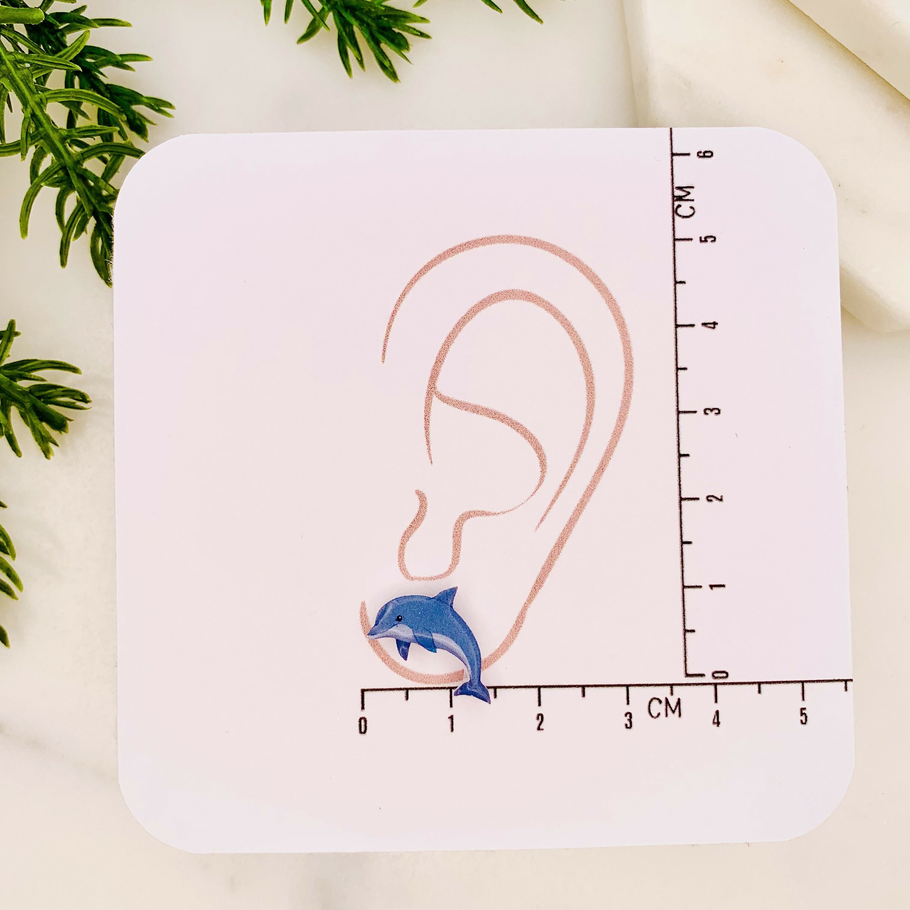 Dolphin Stud Earrings