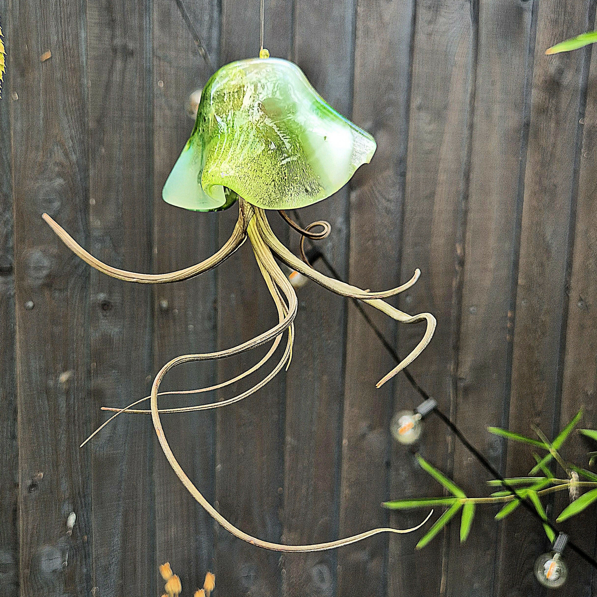 Dennis the Jellyfish