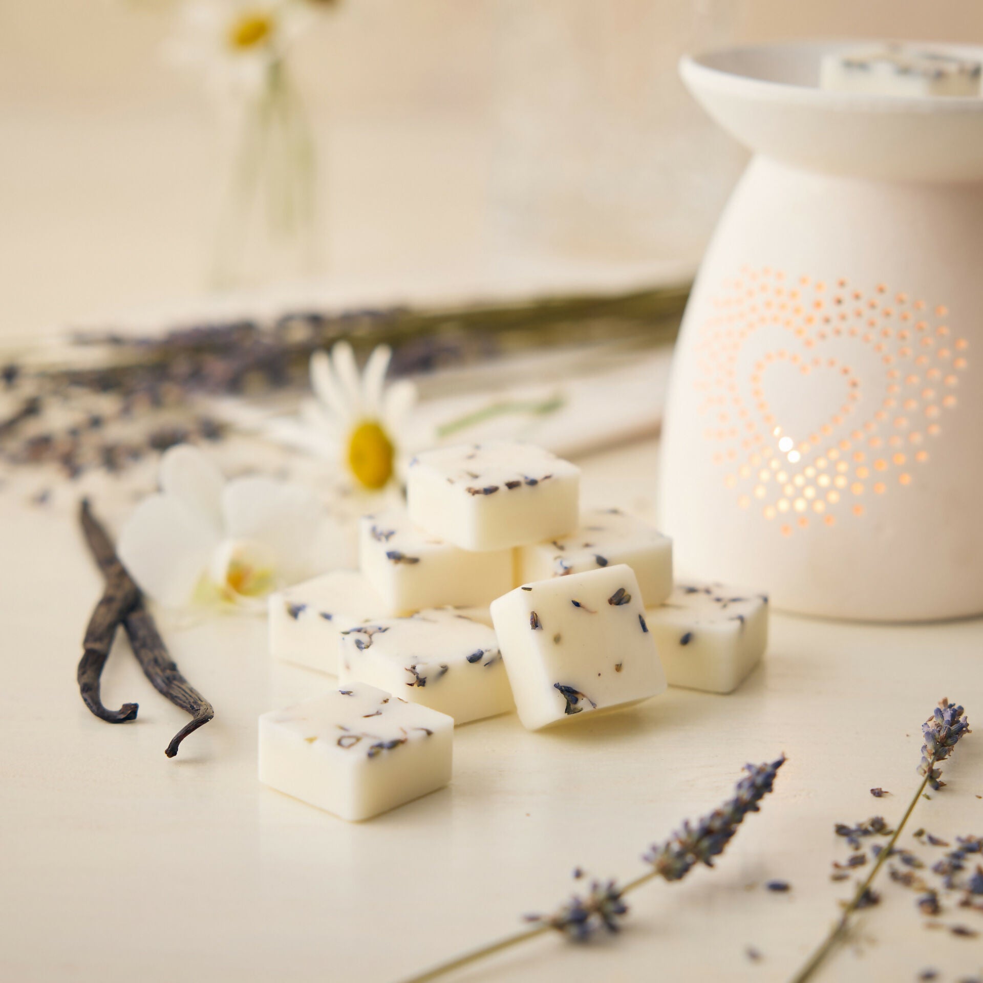 Soy and Beeswax Melts - Selection Box