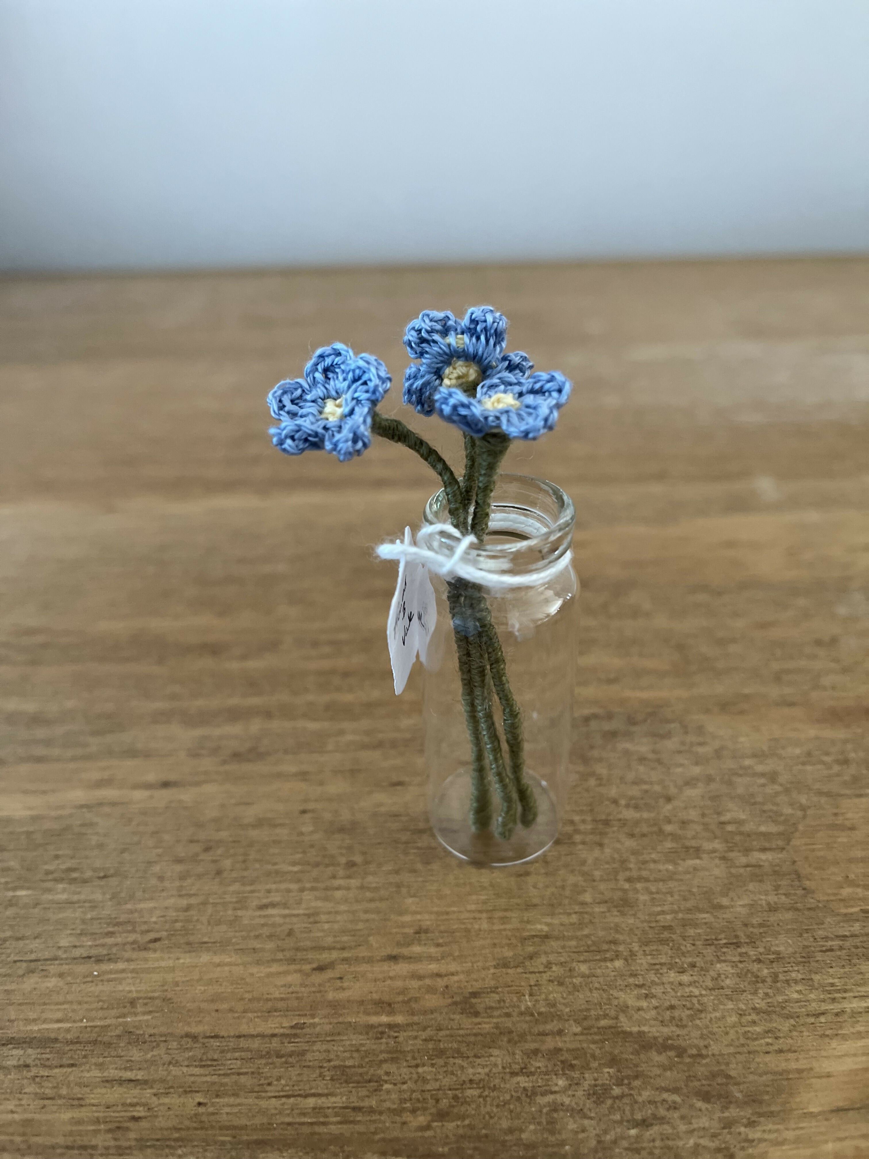 Miniature Forget Me Not Flowers