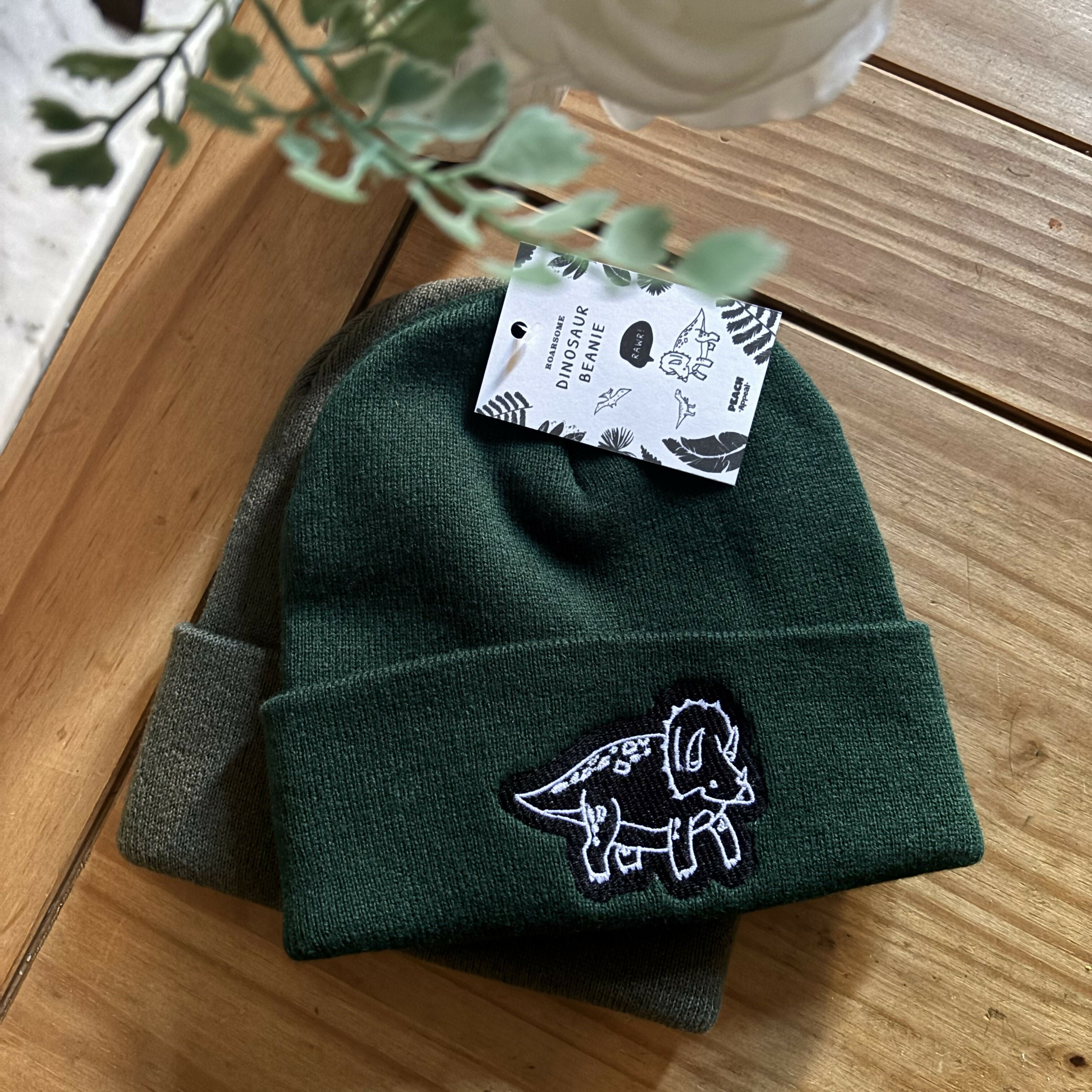 Dinosaur Embroidered Green Beanie Hat