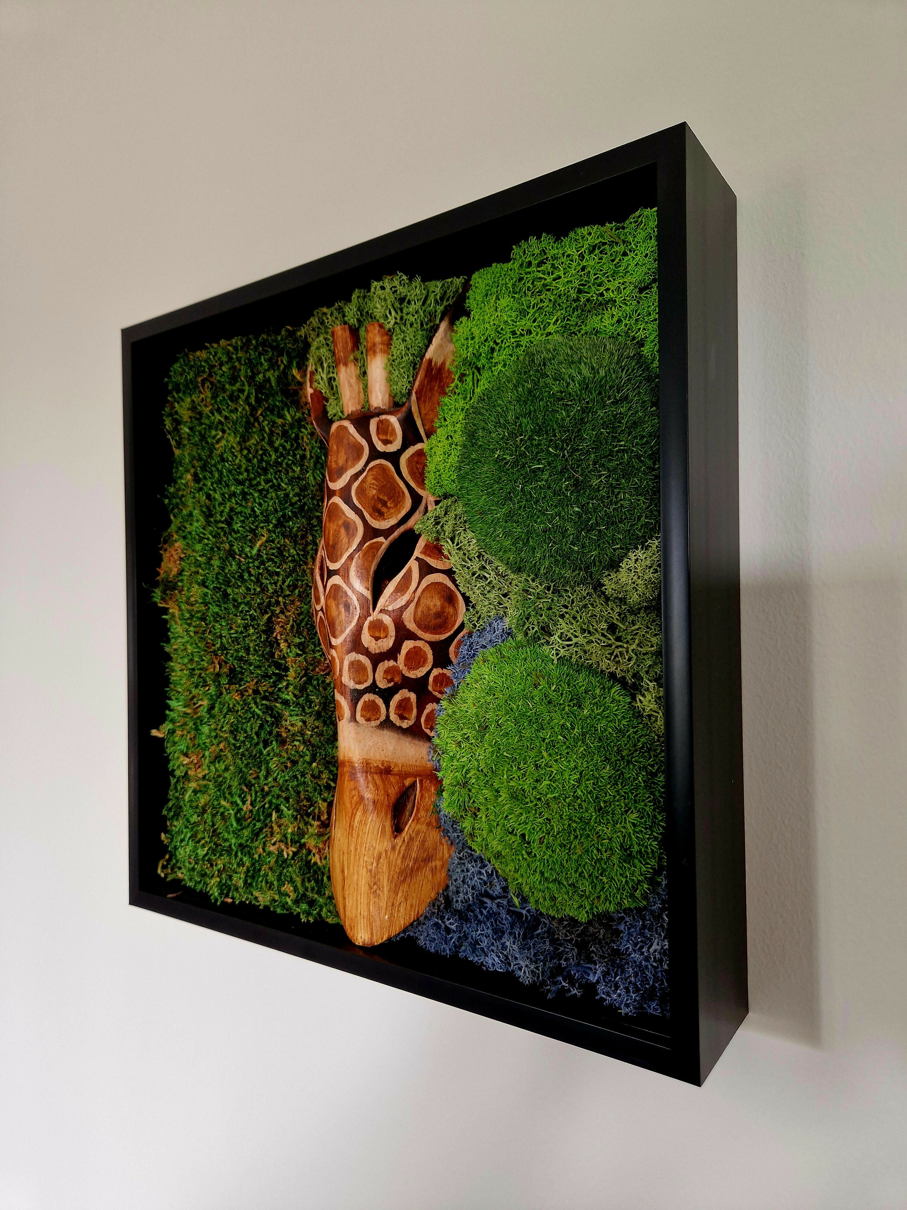 African Giraffe