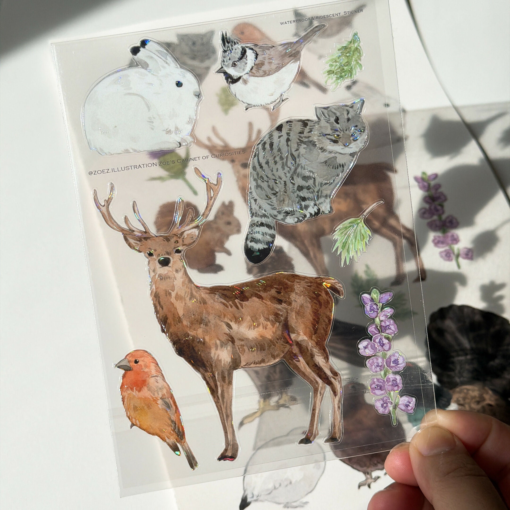 A6 transparent waterproof iridescent wildlife sticker sheet