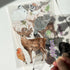 A6 transparent waterproof iridescent wildlife sticker sheet
