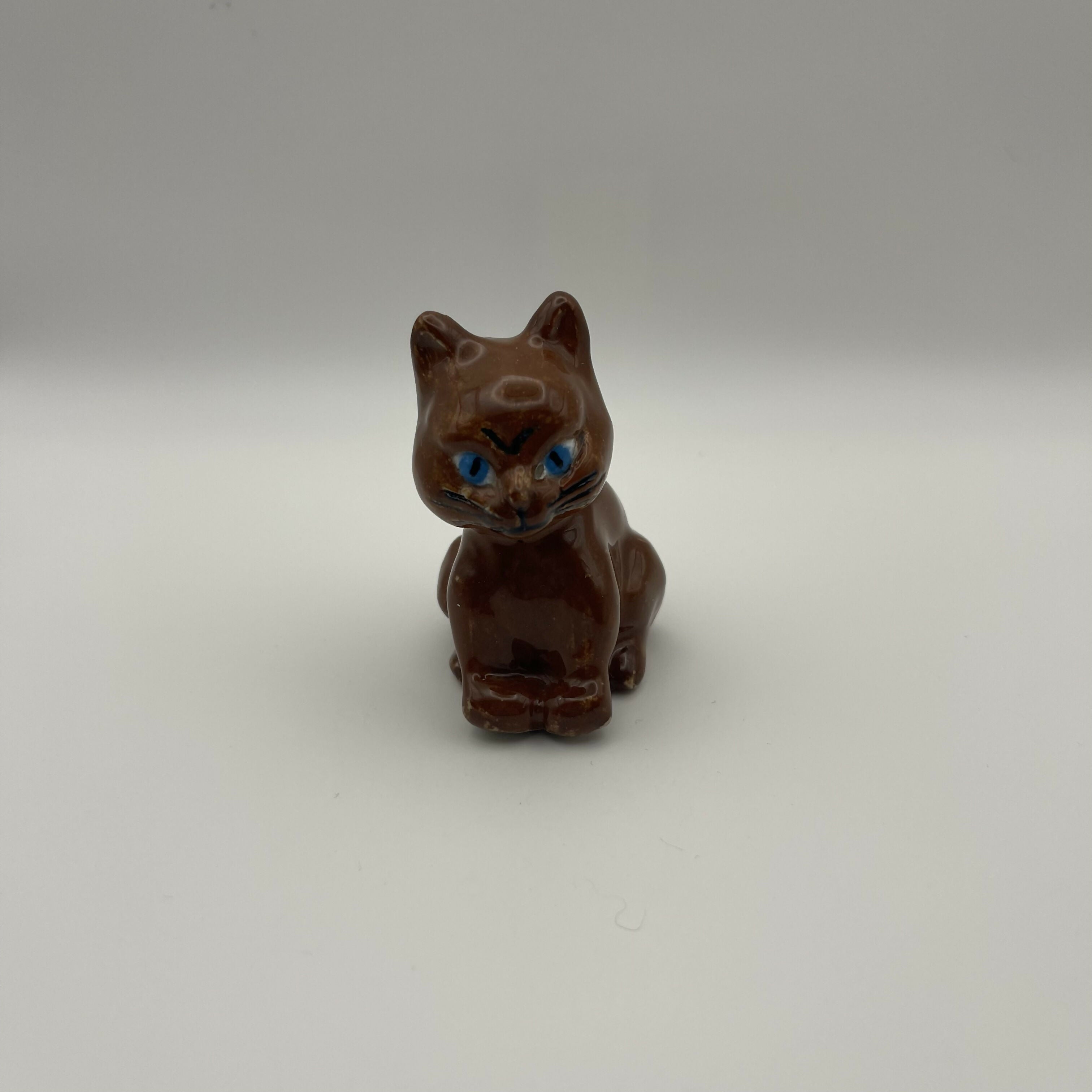 Brown Cat