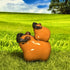 Cool Capybara Duo With Sunglasses