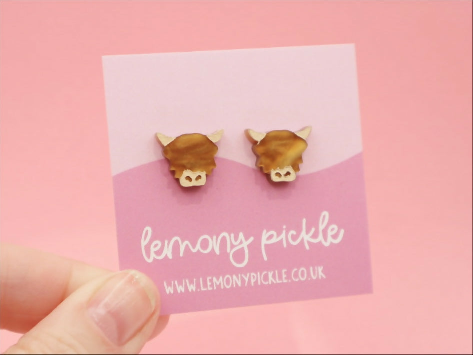 Highland Cow Studs