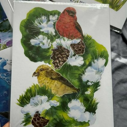 A5 Wild birds Prints