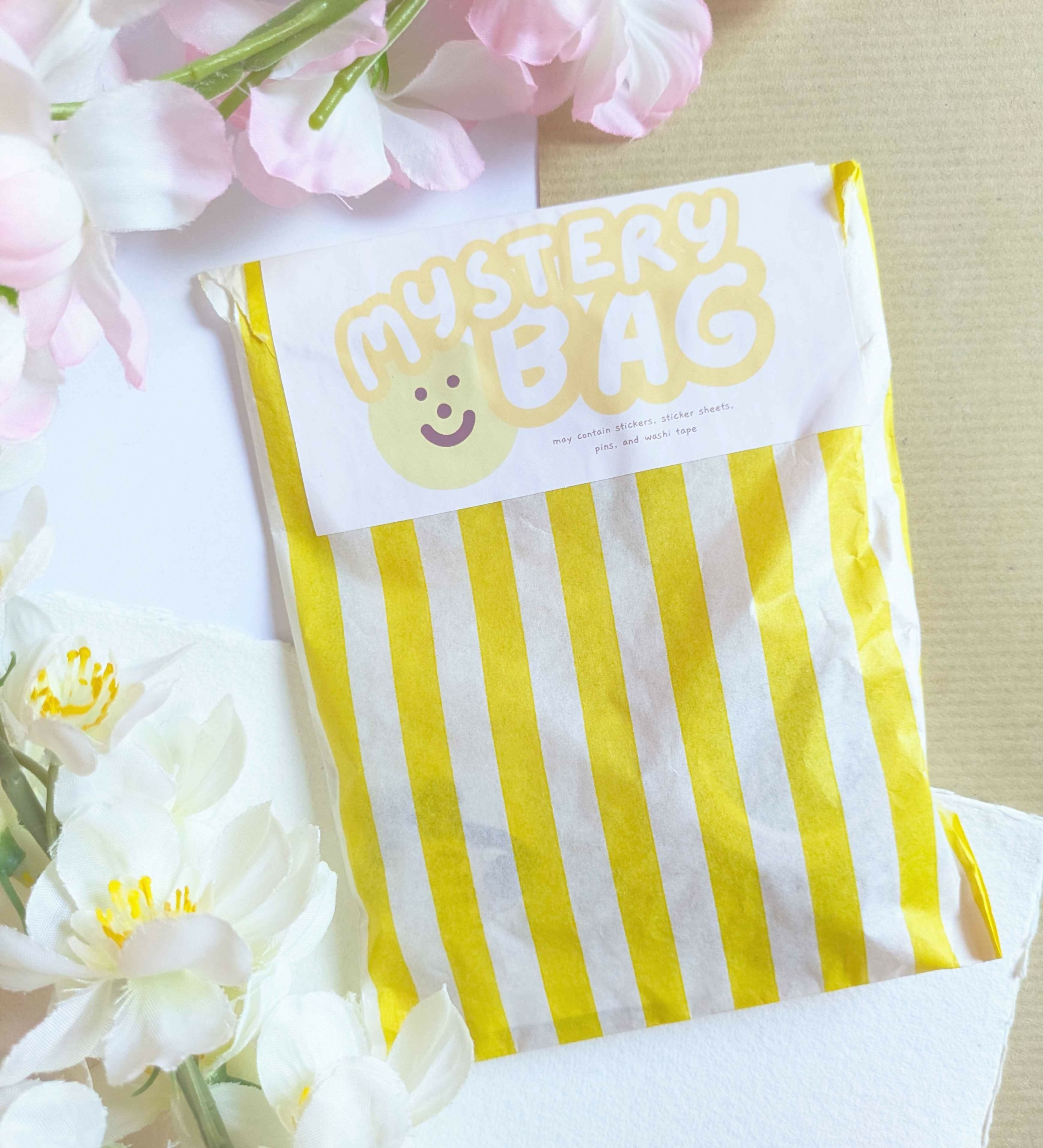 Mystery Stationery Bag