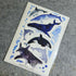A6 Washi Wildlife Sticker Sheet
