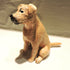 Ceramic Border terrier dog sculpture, wheaten