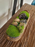 Natural River Bed Teak Bowl
